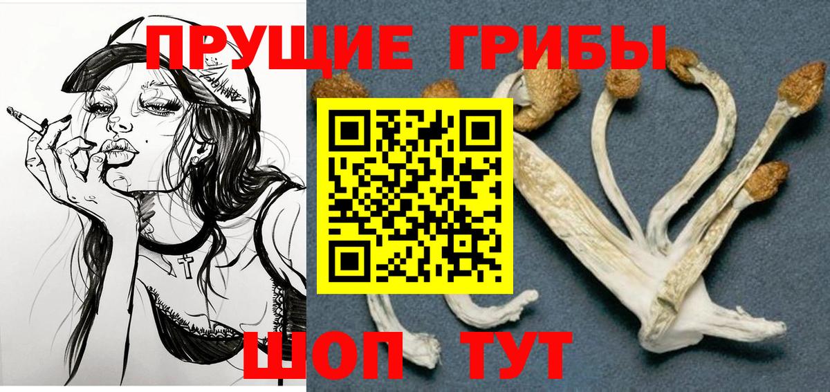 Псилоцибиновые грибы Cubensis  Псилоцибиновые грибы MAGIC MUSHROOMS  Вход с VPN  Всеволожск 